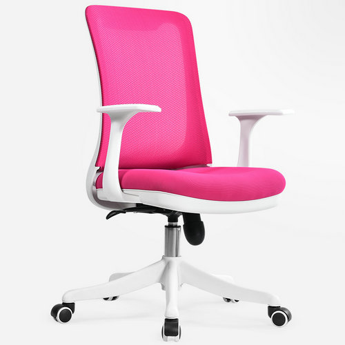Professional staff computer office desk mid back task chair imported mesh best ergonomic conference chairs -5